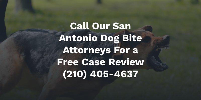 san antonio dog bite attorney